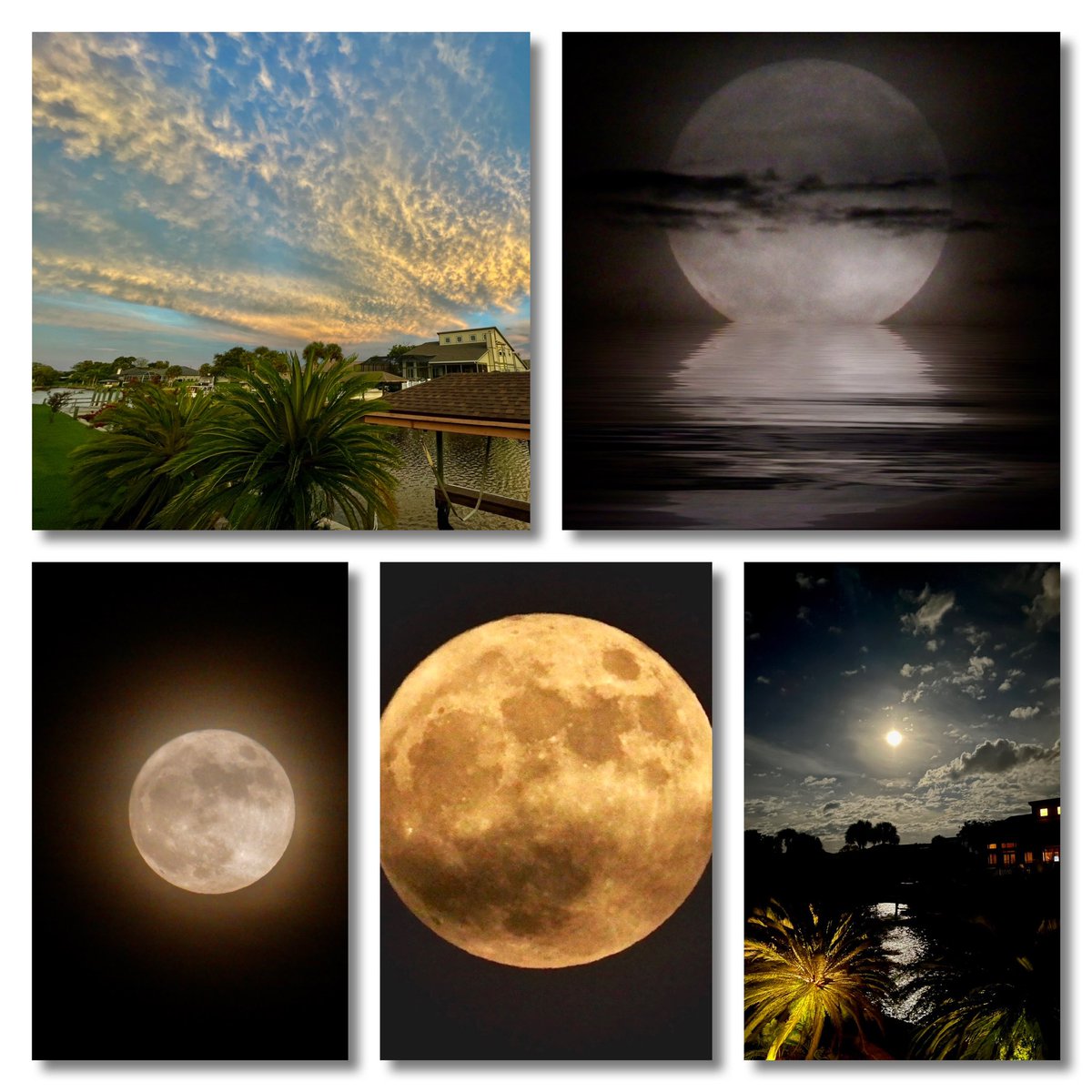 royalld's tweet photo. Super Blue Moon rose behind the trailing outer bands of yesterday’s hurricane. https://t.co/rcs7gSSVMi
