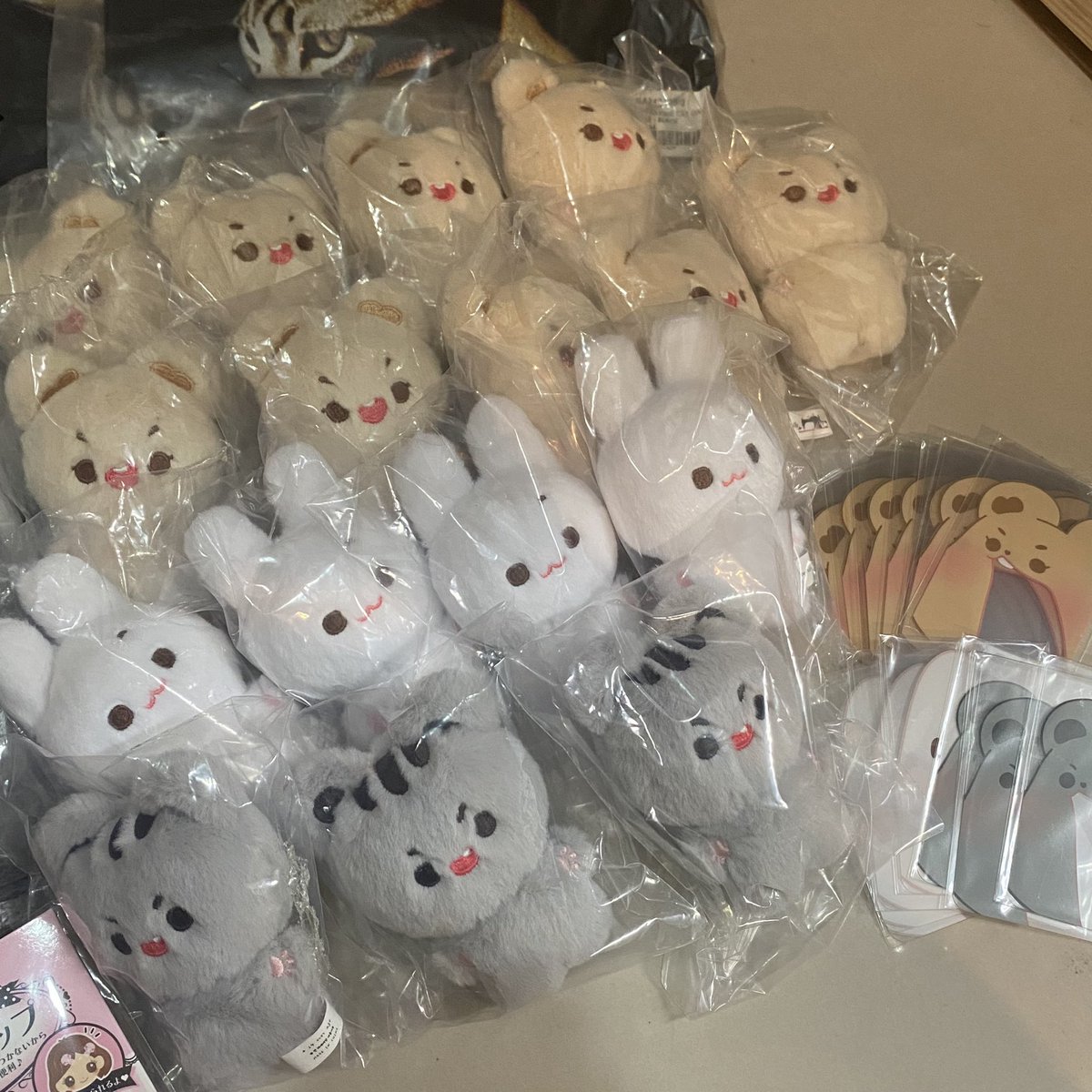 TW G.O 🇹🇼🇰🇷

<a href="/8tobykong/">투바콩🐰🐻🐿(재판)</a> 님
투바콩 잘 받았습니다!
넘넘 귀여워요!! 감사합니당🤍