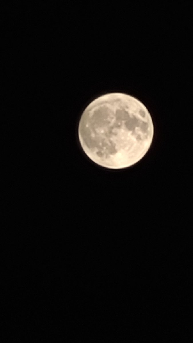 nkumar1187's tweet photo. Feeling Moonstruck....
Here’s to the nights illuminated by the full moon’s glow.
#Supermoon2023 #moon #BlueMoon2023 https://t.co/27rn8mu0km