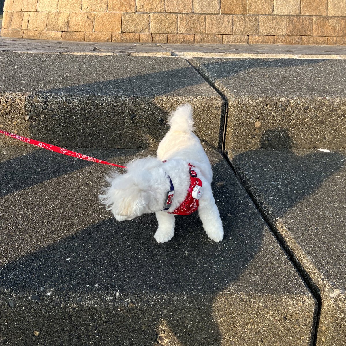 _imaon_'s tweet photo. うみーーーー🏝🫧 https://t.co/I1LNGnoED7