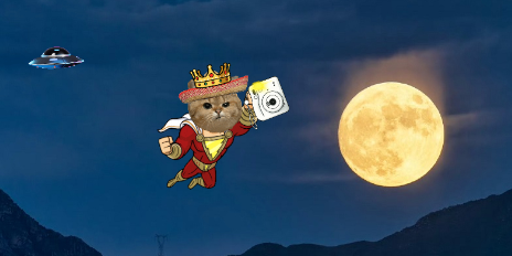 CatsoNemec's tweet photo. Live view from #SuperBlueMoon just for you shot by #SuperCatso ! It shines even into @imcorinnemec ´s dungeon! #miau https://t.co/BbQXpOaeSY