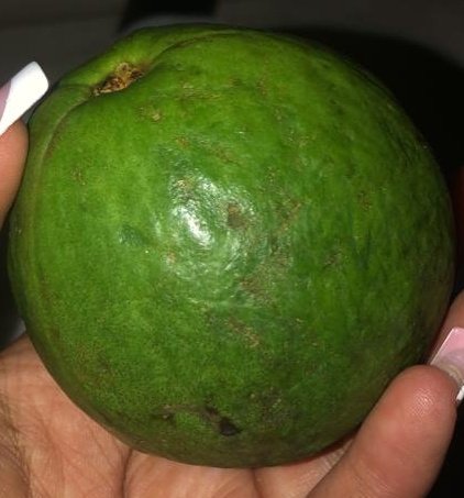 marv_marvo's tweet photo. Like name like fruit
#Mukalu_ngepeera
We promised not to explain memes
@bamwinejnr @GalaxyFMUg https://t.co/nOkiXYLDN6