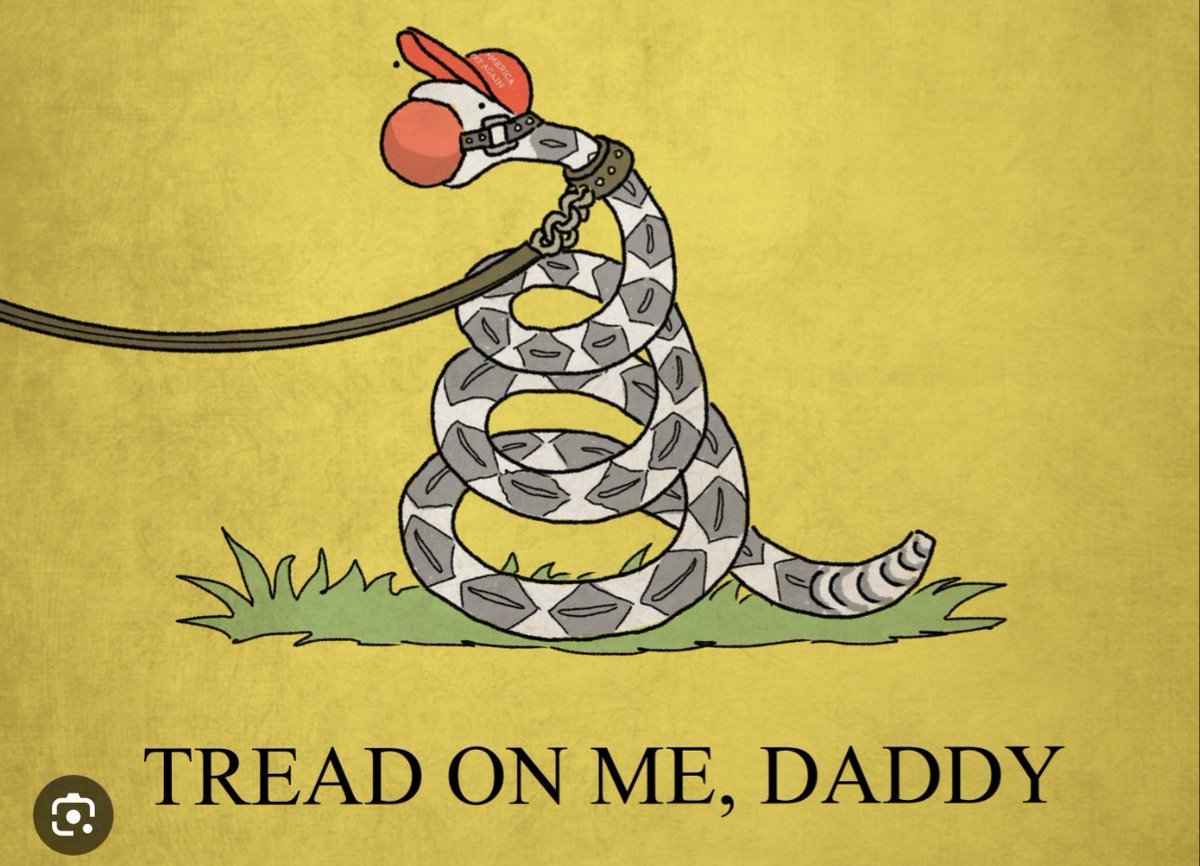 etdotcom_'s tweet photo. It’s fortunate/unfortunate that the Gadsden Flag has become the Abercrombie &amp; Fitch of toughness and Merica'. 

#GadsdenFlag #DontTreadOnMe #trytherapy #thanksdad #thanksmom #thanksgov #nsfw #nsfgop https://t.co/QyJpJx1ZTl