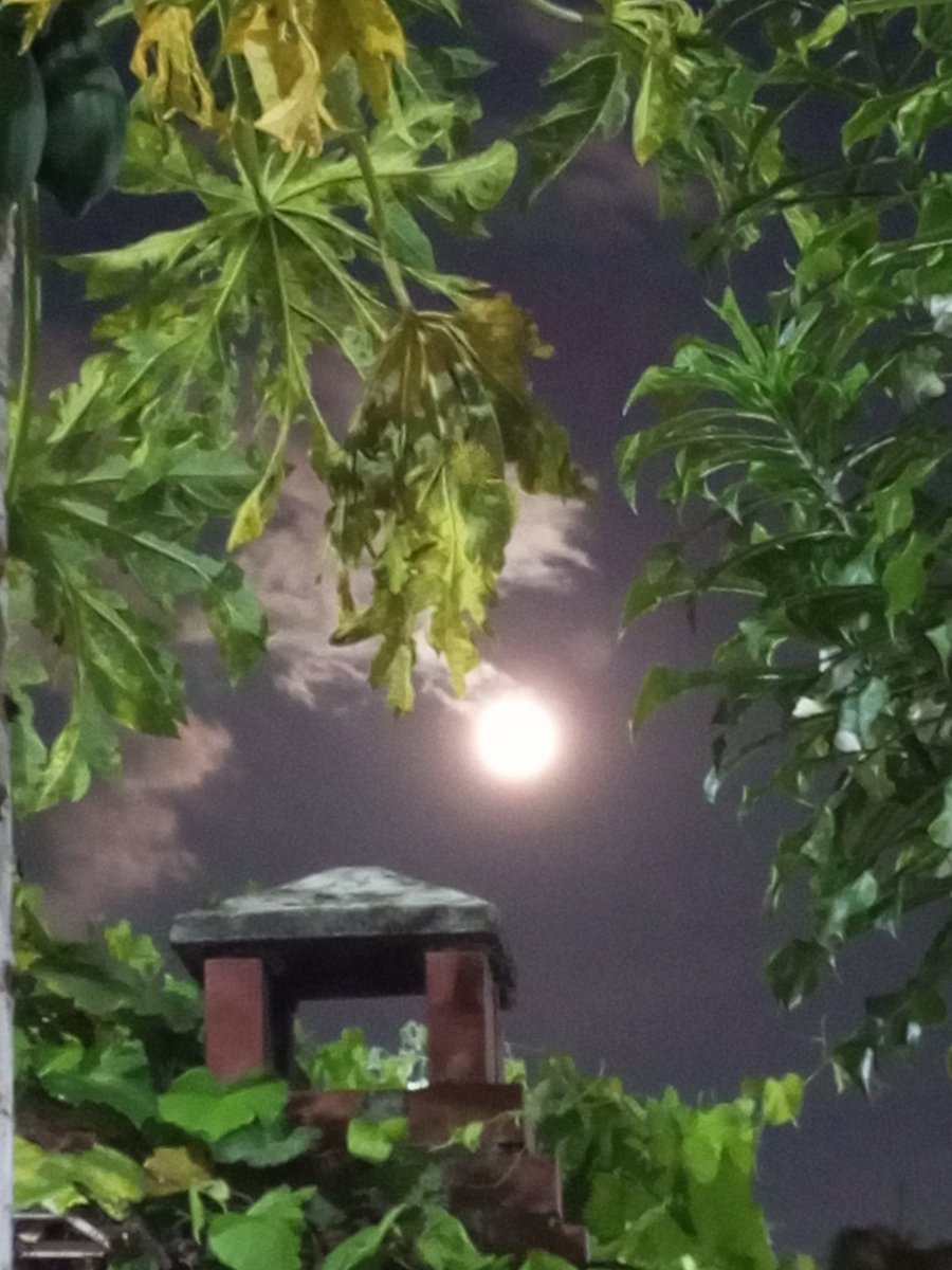 venezolana43200's tweet photo. Asi la ví desde #LaCalifornia #Ccs #LunaAzul #30Agosto ¡espectacular! https://t.co/yuTbWUyctp