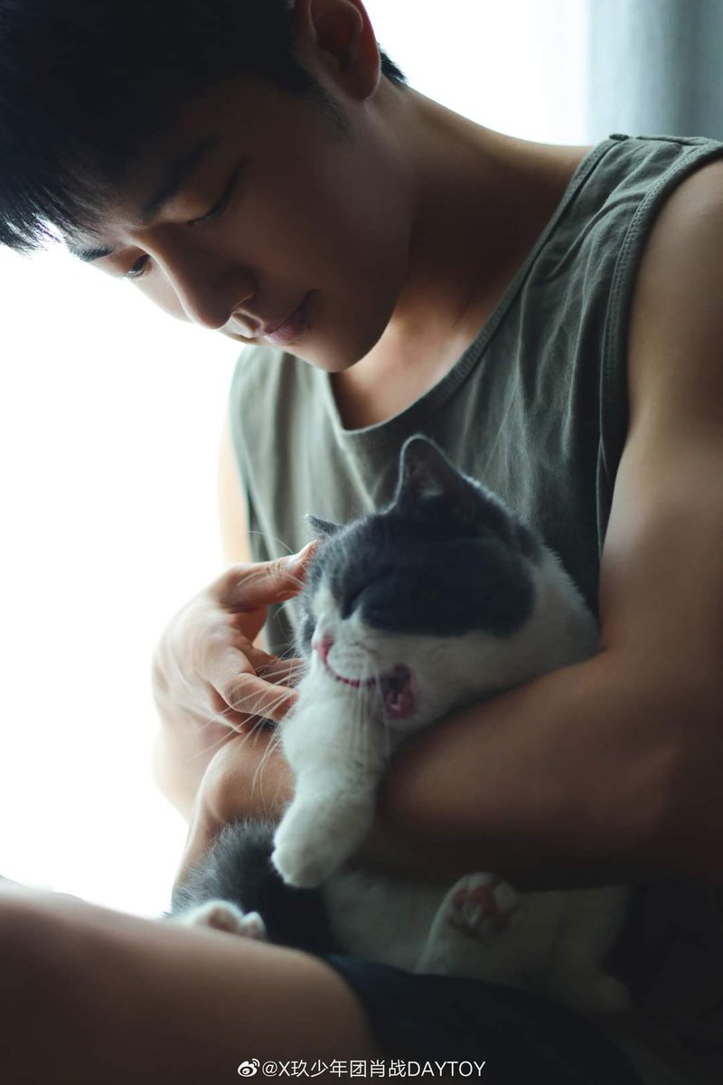 iQIYI_Thailand's tweet photo. อยากเป็นแมวน้อยในอ้อมแขนเซียวจ้านจังเลย
ที่มาของภาพ: บัญชีทางการ Weibo ของเซียวจ้าน

#เซียวจ้าน #XiaoZhan #肖战 https://t.co/LZ7dG3X0FE
