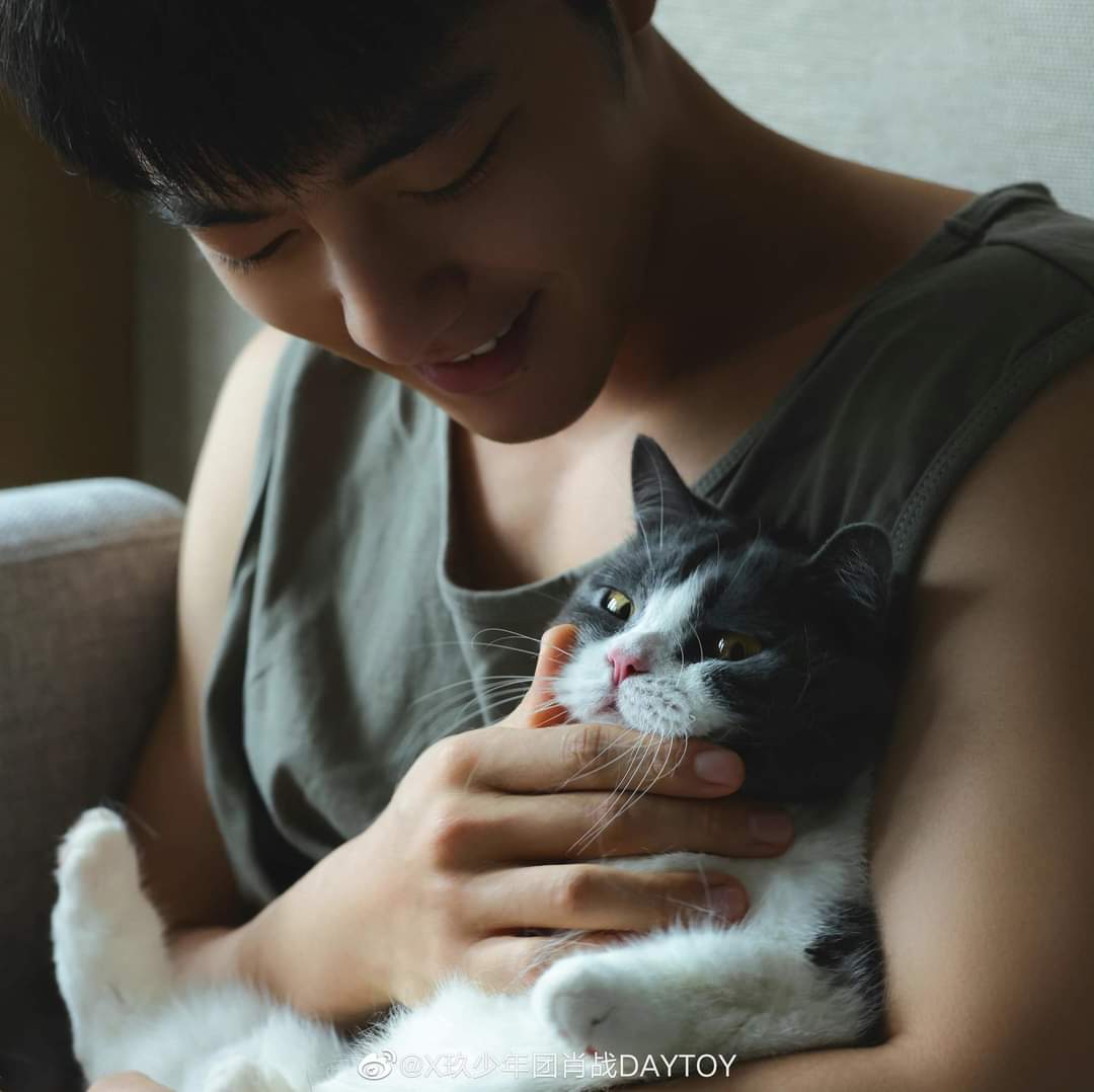 iQIYI_Thailand's tweet photo. อยากเป็นแมวน้อยในอ้อมแขนเซียวจ้านจังเลย
ที่มาของภาพ: บัญชีทางการ Weibo ของเซียวจ้าน

#เซียวจ้าน #XiaoZhan #肖战 https://t.co/LZ7dG3X0FE