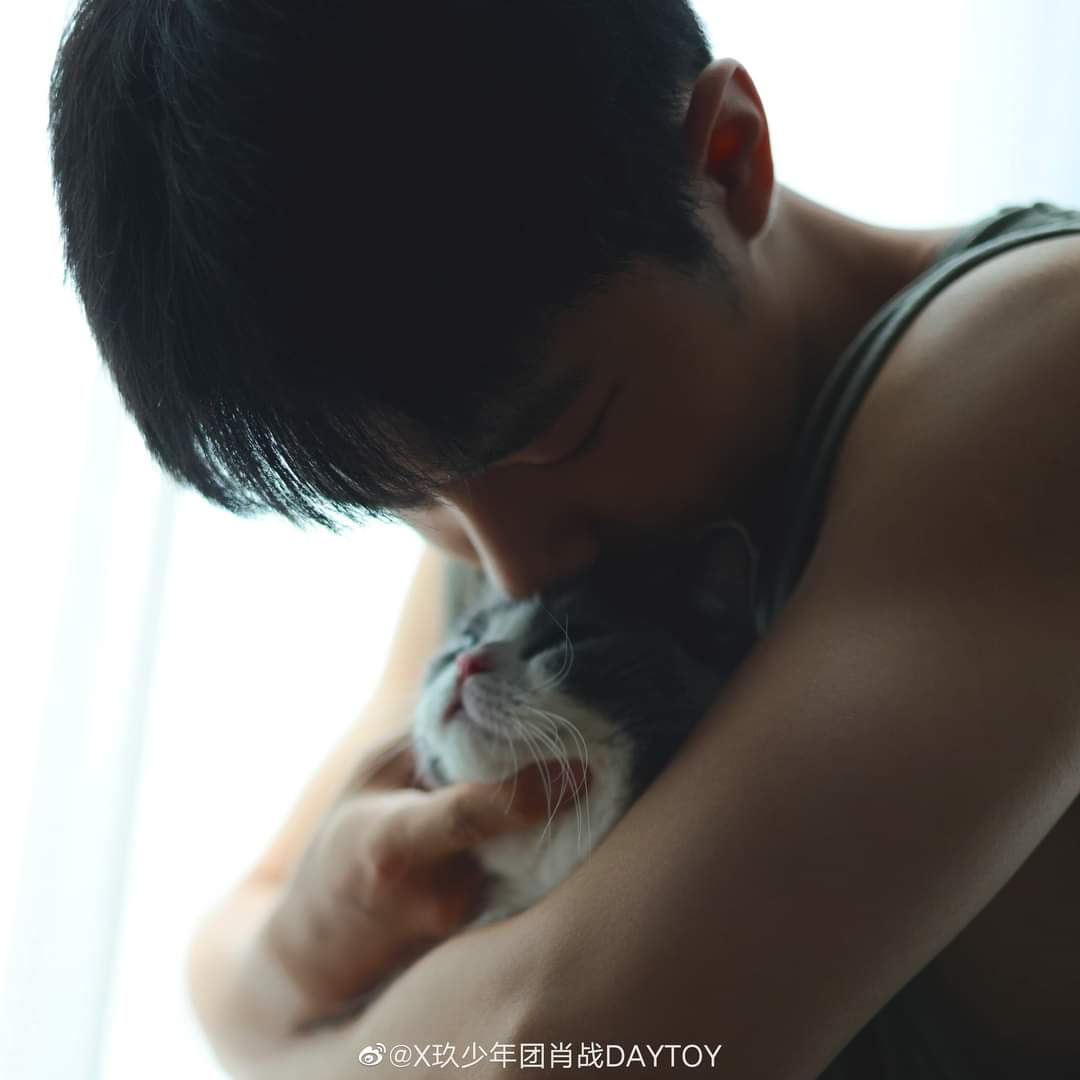 iQIYI_Thailand's tweet photo. อยากเป็นแมวน้อยในอ้อมแขนเซียวจ้านจังเลย
ที่มาของภาพ: บัญชีทางการ Weibo ของเซียวจ้าน

#เซียวจ้าน #XiaoZhan #肖战 https://t.co/LZ7dG3X0FE