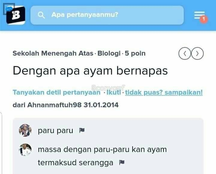 SipalingCowok's tweet photo. Kumpulan Random Yang Bikin Ngakak 😭 https://t.co/Sx4QyOpeYW