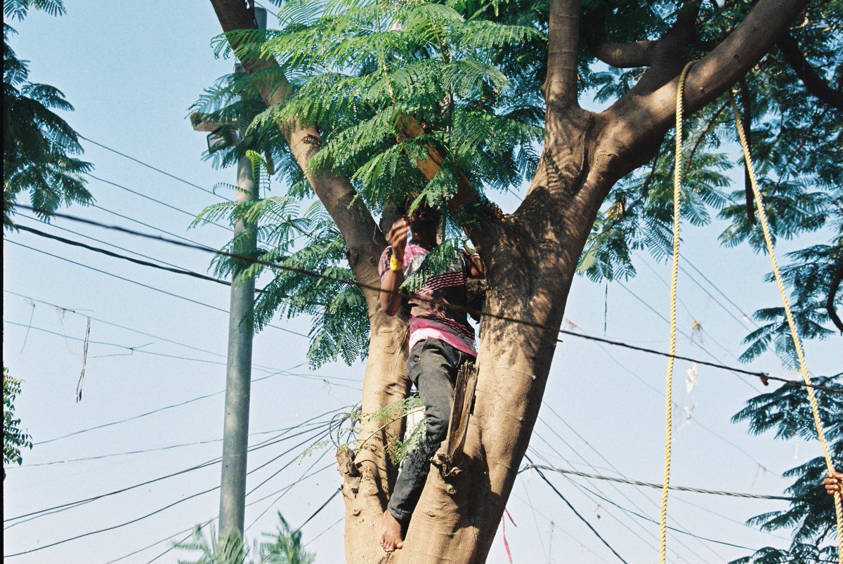 Febe De Geest tweet media