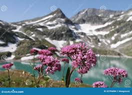 NazliMalik540's tweet photo. 🪷#FollowArigato
@esterDmar @Eles26
@_Dara0 @cknlaw1
@Yulezx @sachi12617
@Magdale_Aguilar
@Ines1466 @1firj
@AmeliaVicencio
@MariFa05 @0firj
@nenekakusan
@power_selfish
@osyarenistylish
@Yolcu1962RT
@ElBlondyRD
@bell428103
@nene_5895
@zahoorap1
@IKRA1071
@iAr444
@cknlaw1
@iAr614 https://t.co/ZjmxPPWZHd