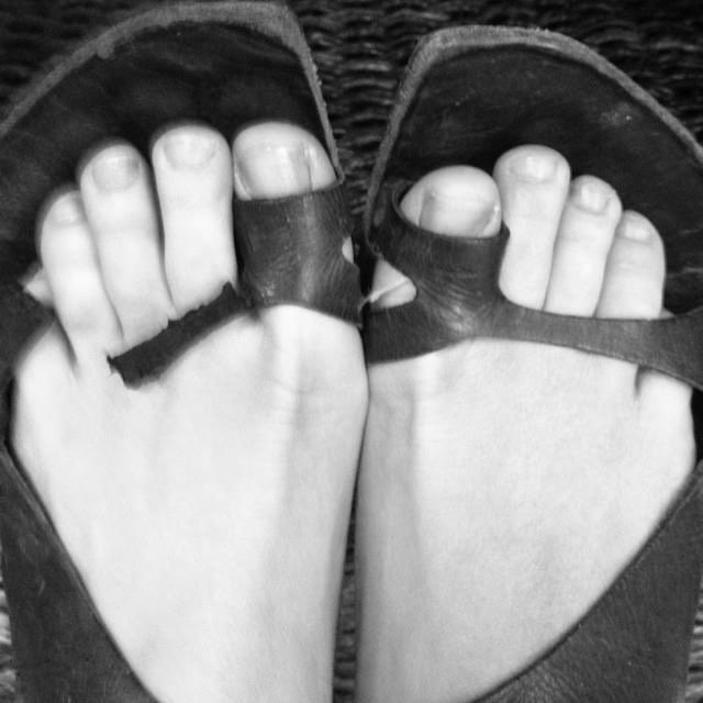 lerobot87's tweet photo. @AnnaPaquin Clearly some of your favorites like these Birkenstocks! Although it would have been excellent if you had signed the broken ones for a fan instead of throwing them away! https://t.co/TTCaw4cPxd