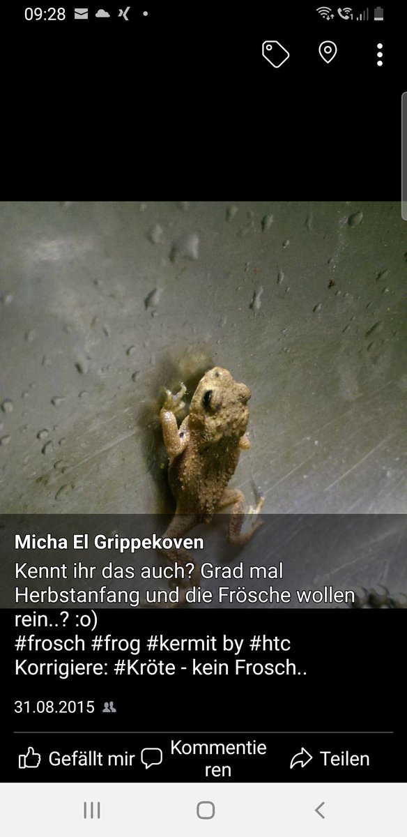 ELTUCOSITO's tweet image. Da auf #facebook schon lange nix mehr läuft, ( in Sachen "Was machst du grade?"), erinnert man uns jetzt an damals..

Vorsicht: #frogcontent