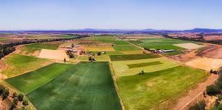 Adam Fennessy tweet media