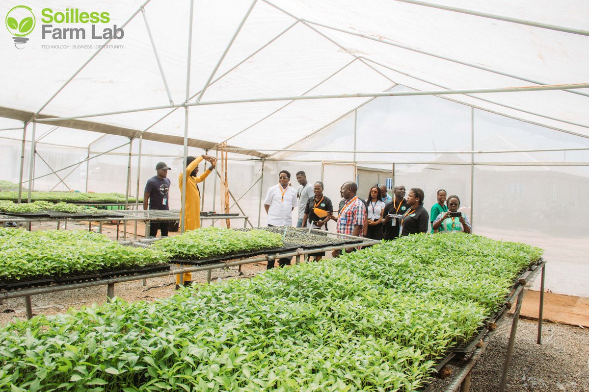 Farmer Samson Ogbole (@samsonprolific) on Twitter photo <a href="/sFarmLab/">Soilless Farm Lab</a> photo dump
Family:
"Man like Josh" got married
Aunty Peace got married
Engr. Jude blessed with a baby boy
Business:
HACCP certified
NAQS certified
Partnership:
GB Foods
NAHCO
IITA
๐ณ๐ฑ
We are grateful!
#FarmerSamson #TheWizardFarmer #Sfarmlab #SoillessFarmLab <a href="/sFarmLab/">Soilless Farm Lab</a> photo dump
Family:
"Man like Josh" got married
Aunty Peace got married
Engr. Jude blessed with a baby boy
Business:
HACCP certified
NAQS certified
Partnership:
GB Foods
NAHCO
IITA
๐ณ๐ฑ
We are grateful!
#FarmerSamson #TheWizardFarmer #Sfarmlab #SoillessFarmLab