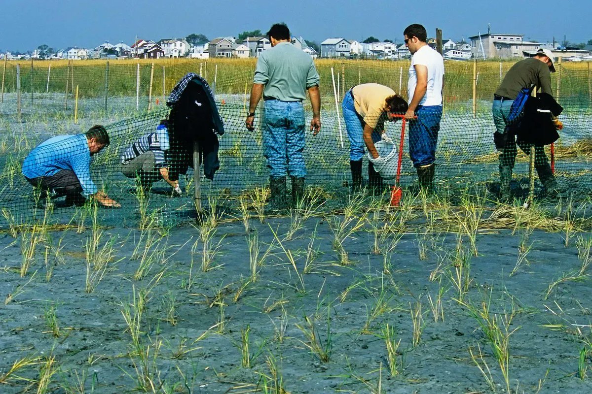 Carbon Brief tweet media