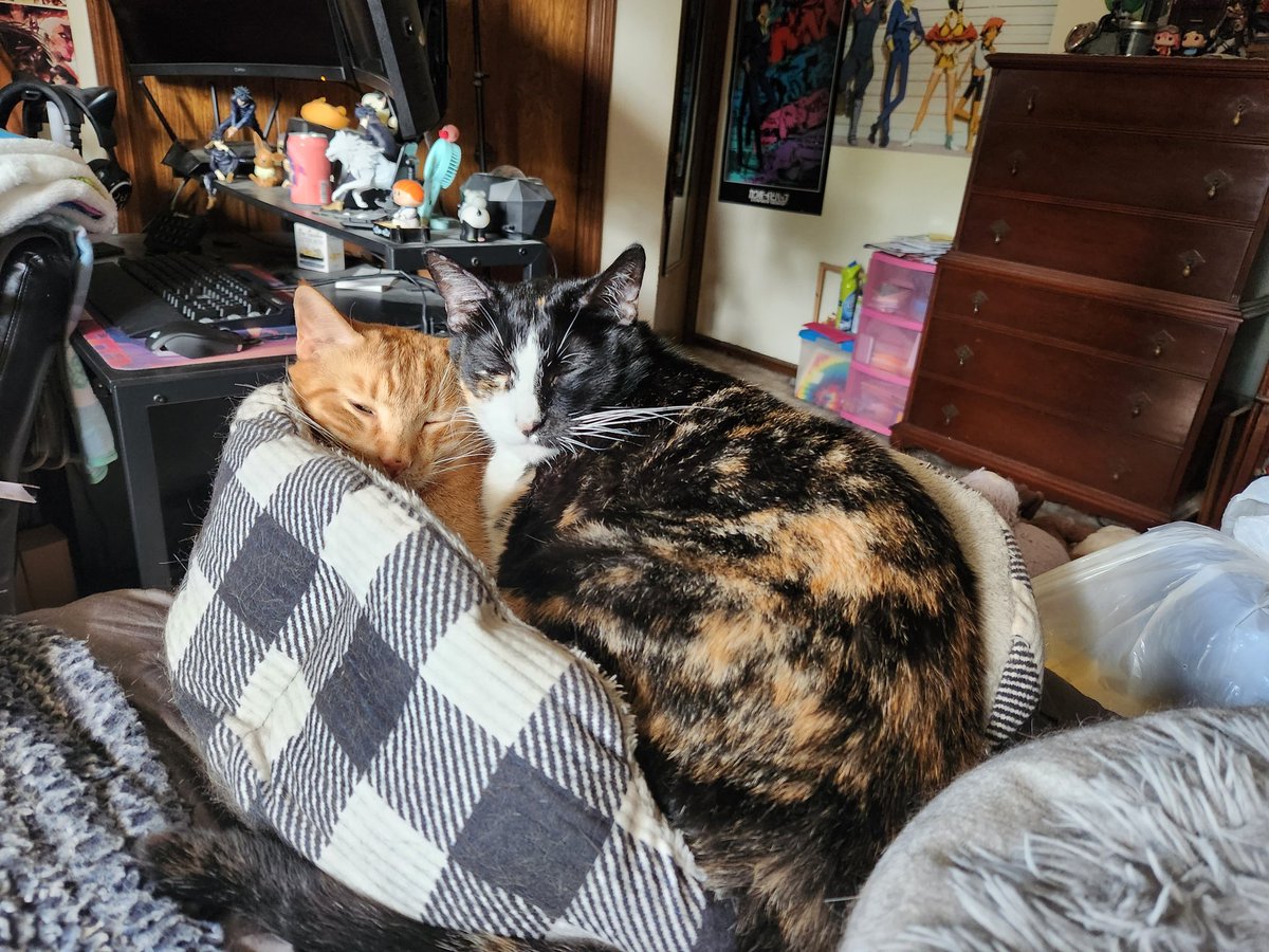 AstaScheder's tweet photo. @imaSpaceboy All the sweet babies~ https://t.co/fag4Ne27jf
