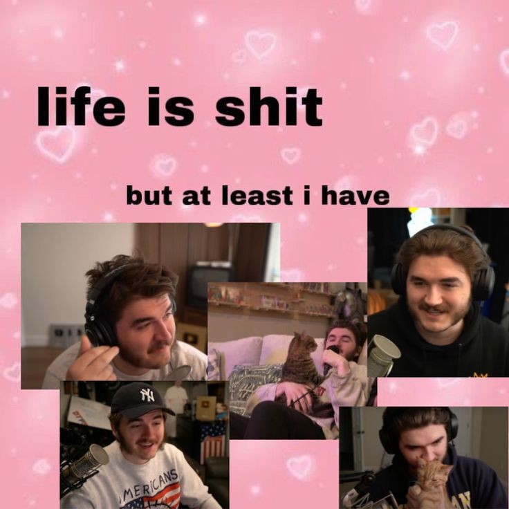 smallguy 2.0 tweet media