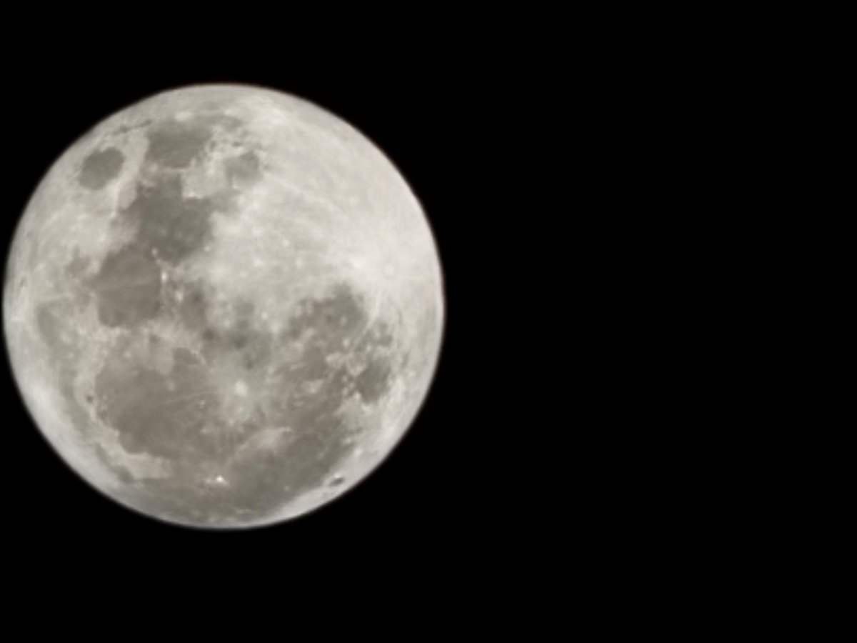 willikitty1979's tweet photo. Blue Moon! https://t.co/QoMu7gDYad