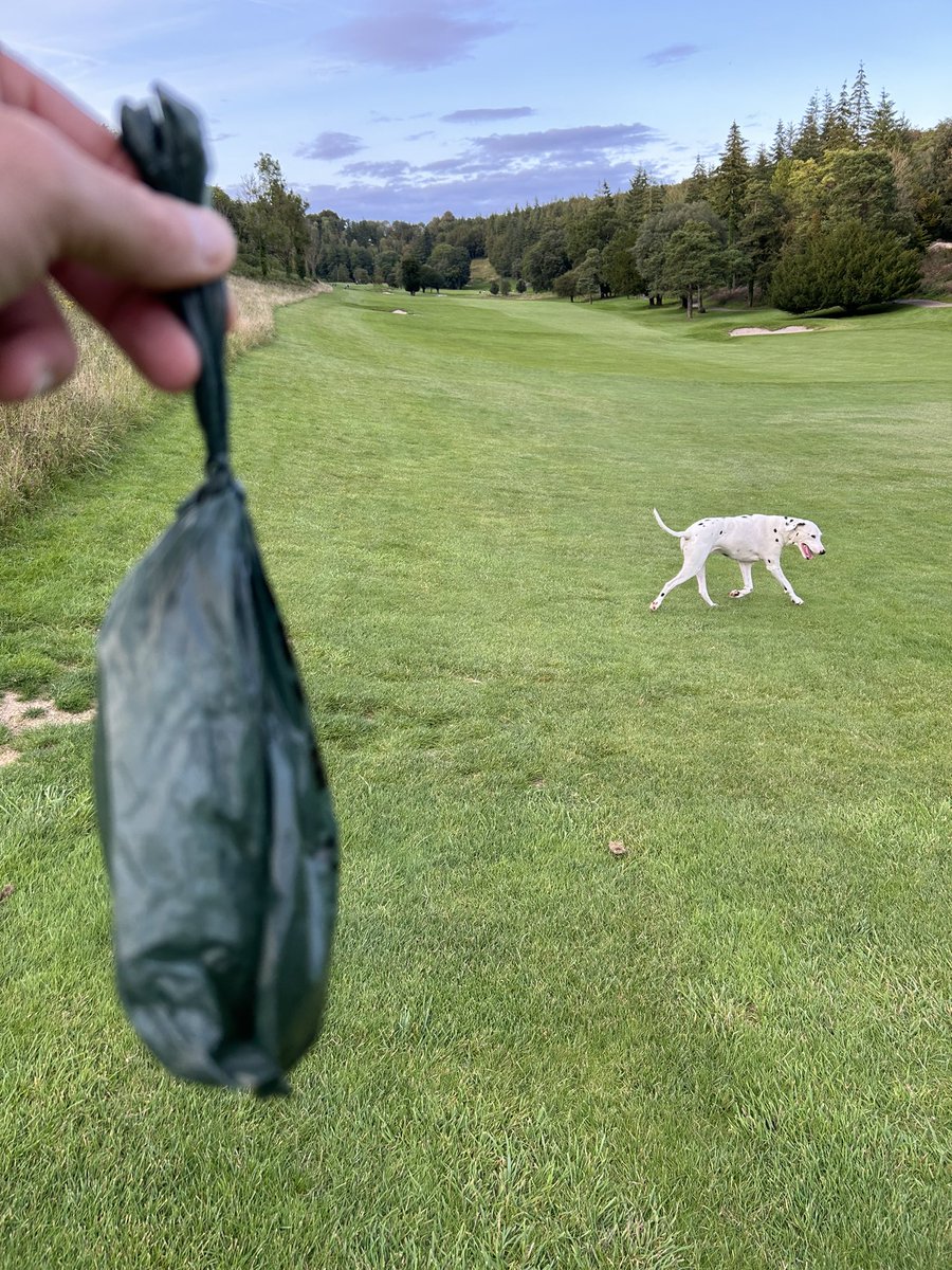 chewie_1978's tweet photo. Tried an experiment, few holes with the boy. Dog friendly course @goodwood_golf forgot about having to carry a bag of shit around π€£π€£β³οΈπ#golf #dogs #dalamation https://t.co/jzXwMfpDvA