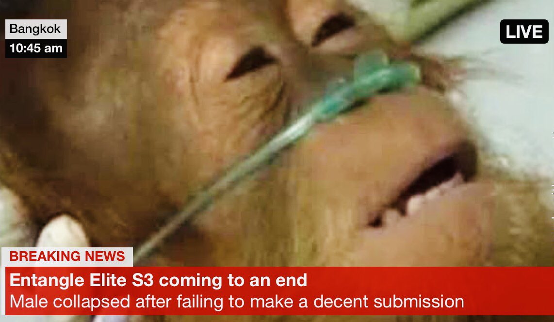 avil25750317's tweet image. Last day #entangleelite