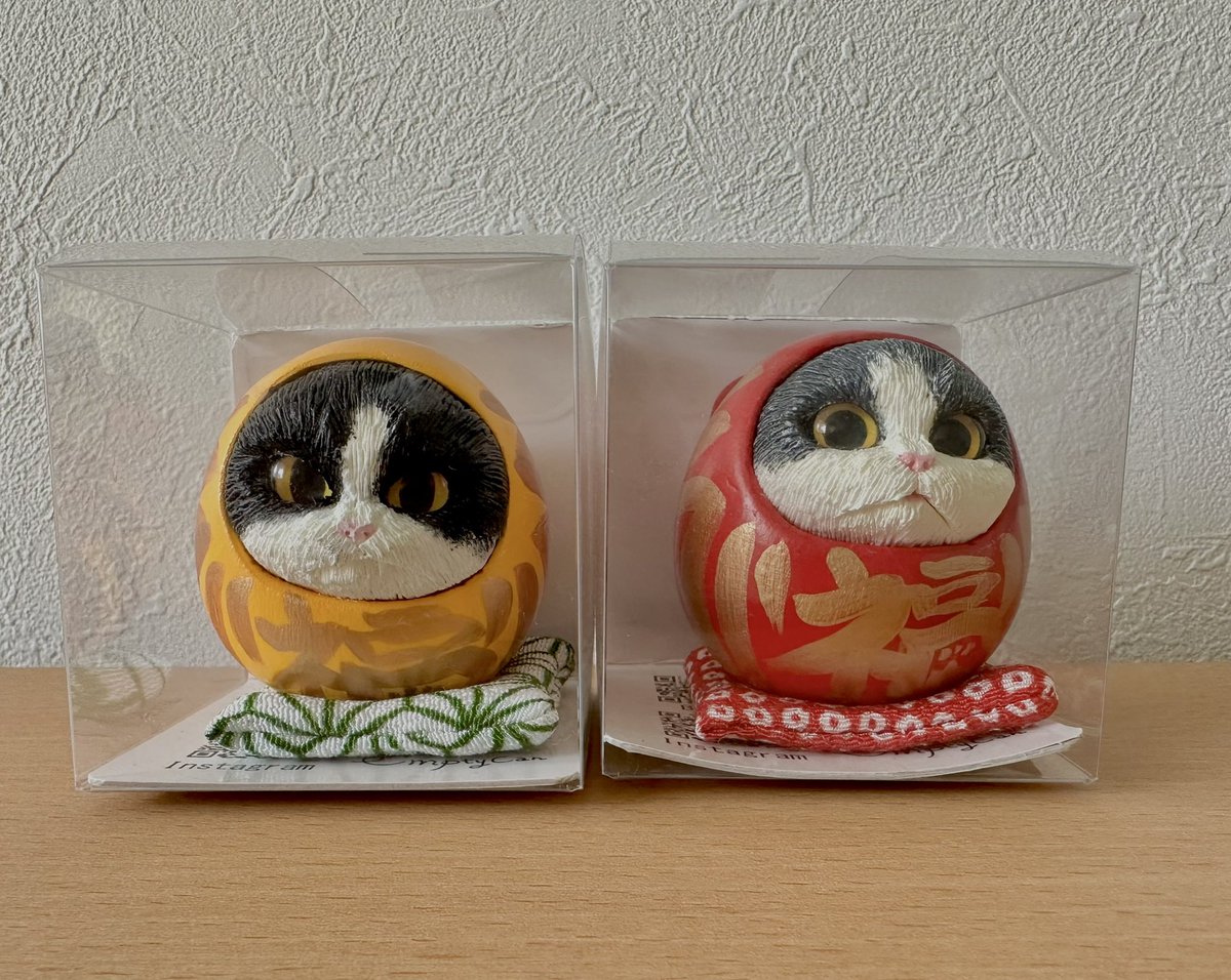ウチにもいる「猫のけだるま」がカプセルトイで販売されます！ウチの