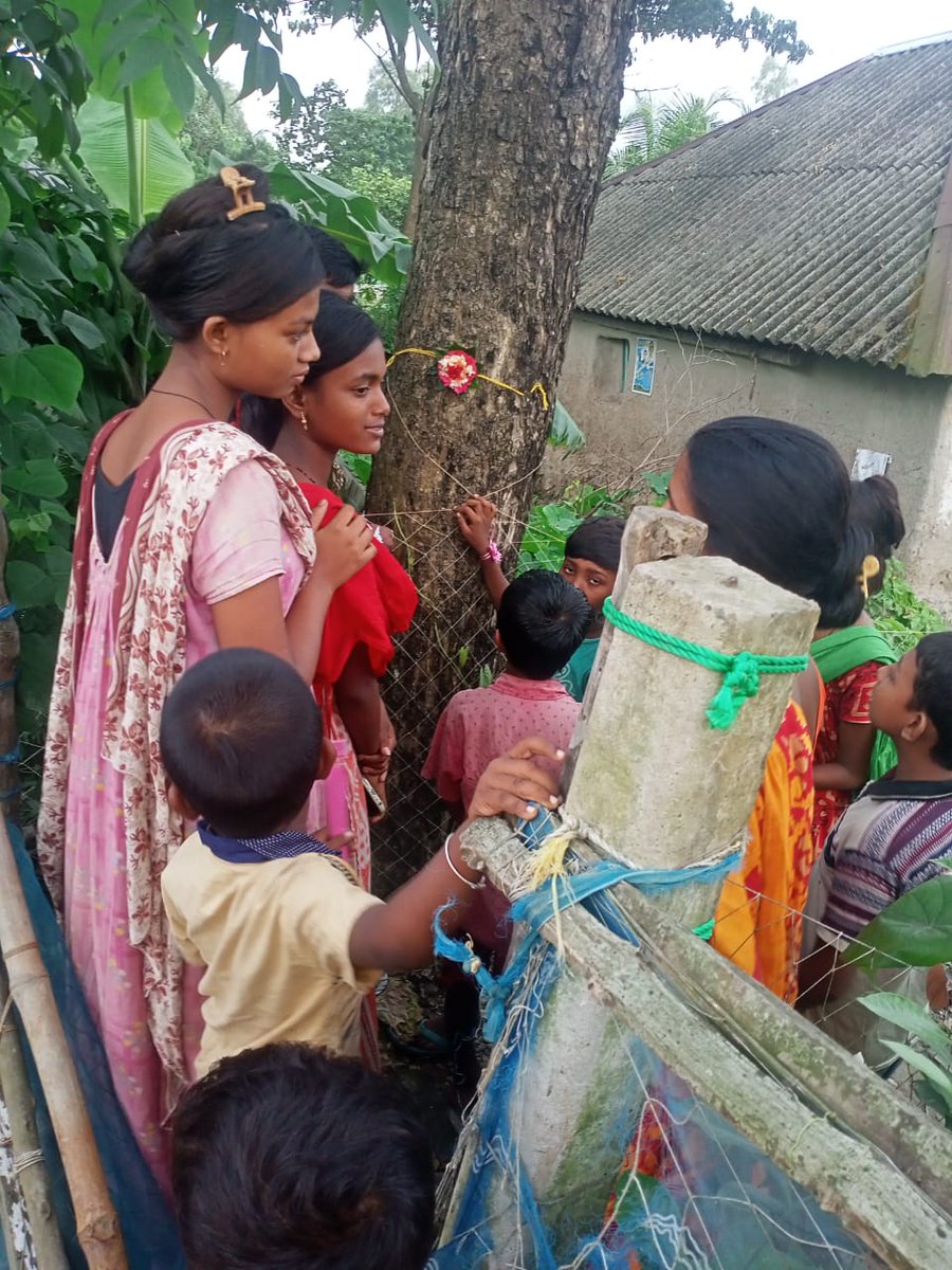 CASA_India's tweet photo. Raksha Bandhan with Nature
Welcoming the true spirit of Raksha Bandhan from the core of Sundarban!
Our Green Scouts in North 24 Parganas, West Bengal, celebrated by tying rakhis to trees.
Let’s pledge to protect nature, just like our wonderful relationships.
#HappyRakshaBandhan https://t.co/ErIAuY4DH2