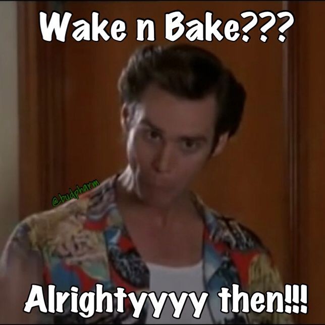 Good morning folks I do believe it's time to #wakenbake 💨💨 who's with me? #Mmemberville #WeedLovers ✌🏻