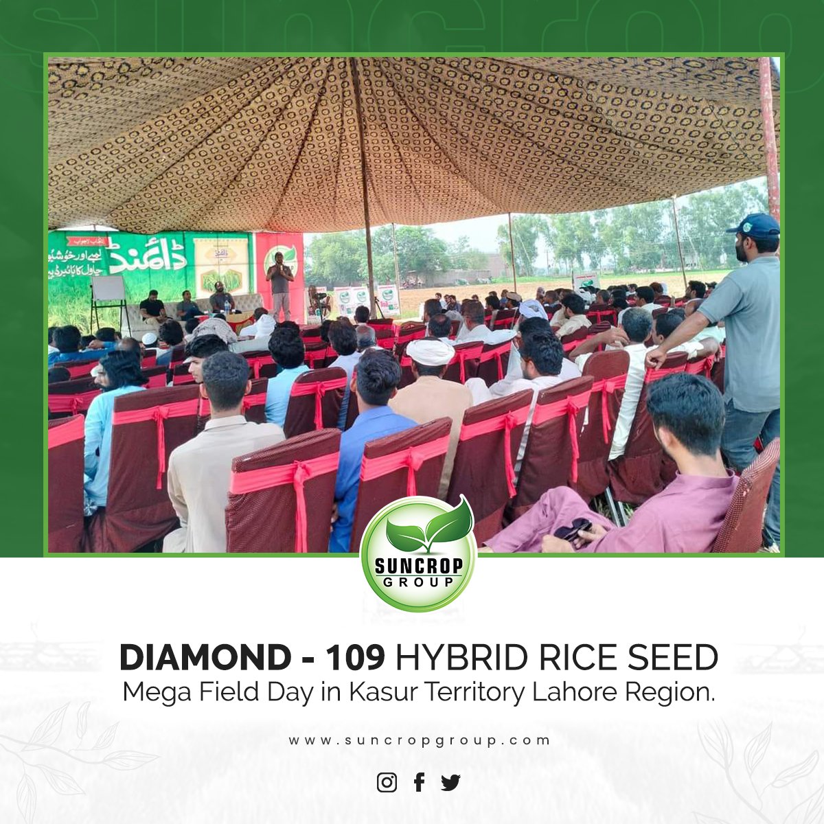 suncrop_group's tweet photo. Diamond - 109 Rice Hybrid seed harvesting field day in Kasur Territory Lahore Region. Excellent yield observed and farmers are highly satisfied.
#ricefield #farmers #highyeild #feildday #suncropgroup #agriculture https://t.co/t2CFxaA6j3