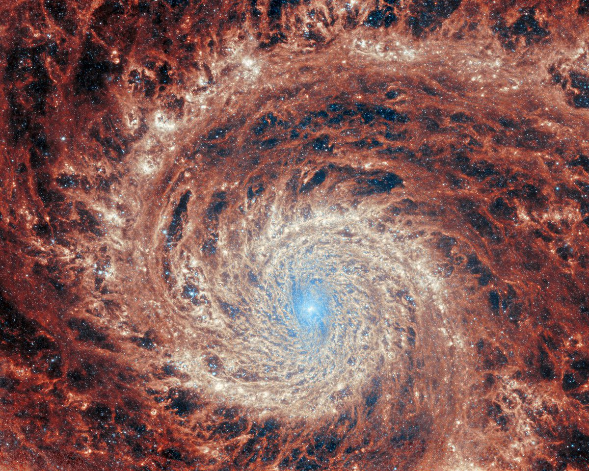 🚨: El Telescopio Espacial James Webb ha capturado la imagen más clara jamás vista de la galaxia Whirlpool (M51). 

Este retrato galáctico que luce como un remolino cósmico fue capturado por el instrumento de infrarrojo medio (MIRI) de Webb.