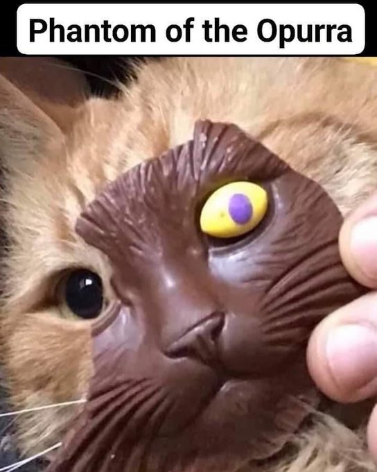 cat face with a partial chocolate cat face "mask" in front and the text: "The Phantom of the Opurra"