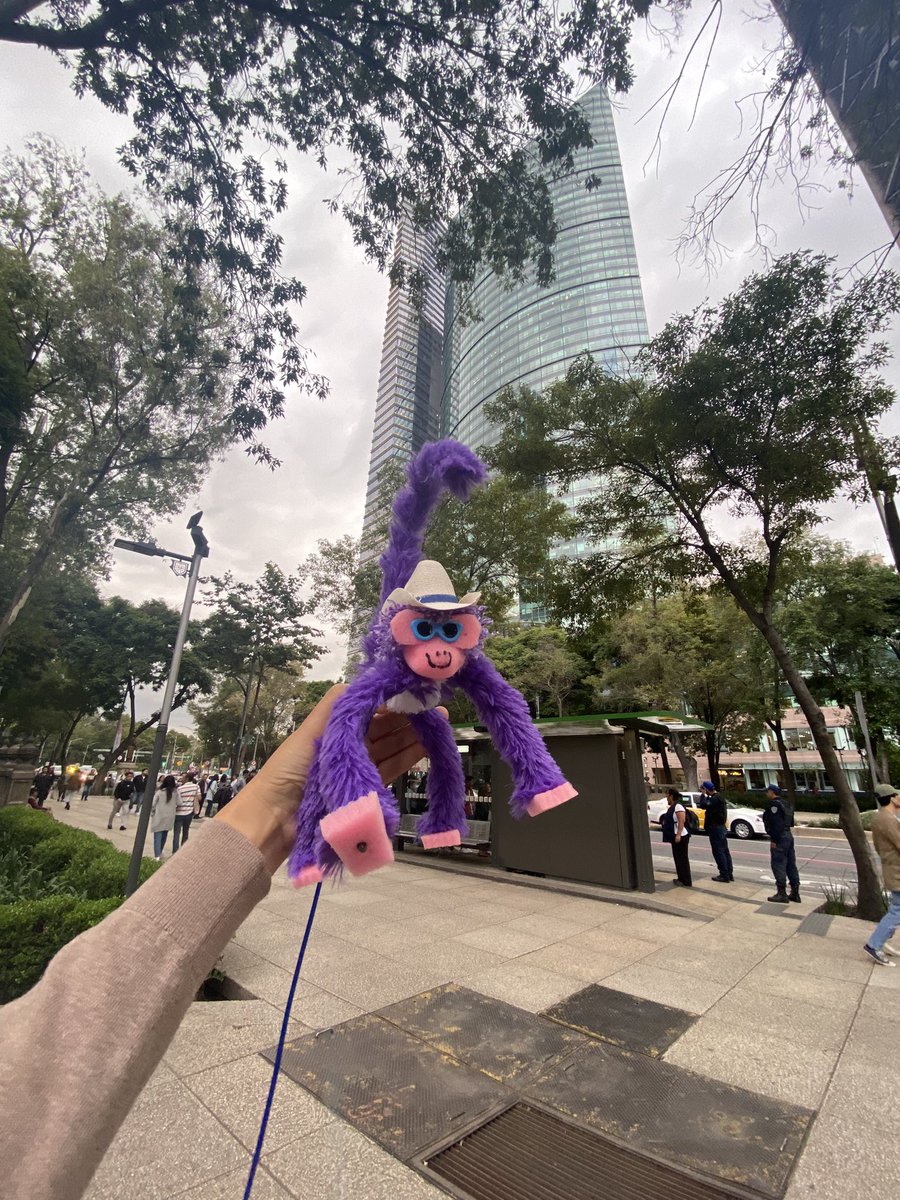 whereubeenlocaa's tweet photo. me hace tan feliz ver mis fotos y videos en el concierto de taylor y me encanta sentir que por fin logré algo, pude darme el lujo de irme de viaje e ir a un concierto solo porque lo merezco 🥹 quiero hacer cosas que me hacen feliz sin tener que arrepentirme de ello ❤️‍🩹 https://t.co/ZV3g0AldnJ