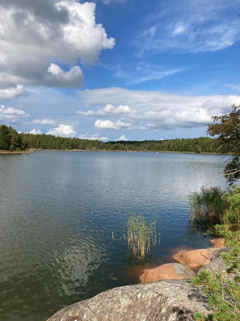 Viikonloppuna otin varaslähdön Itämeri-päivään ja pulahdin rehevöityneessä rannassa samean veden keskellä- suretti. Pidetään huolta yhteisestä Itämerestämme! Vinkit päivän viettoon: itameripaiva.fi