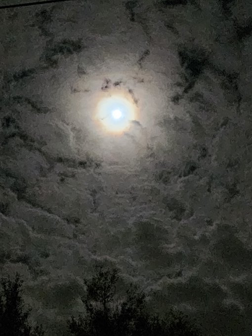 Tell me you have a Samsung Phone without telling me you have a Samsung. #SuperBlueMoon #supermoon @photosbywenger<a href="/tag/bluemoon"class="tags"><span>#bluemoon</span></a><a href="/tag/supermoon"class="tags"><span>#supermoon</span></a><a href="/tag/superbluemoon"class="tags"><span>#superbluemoon</span></a>