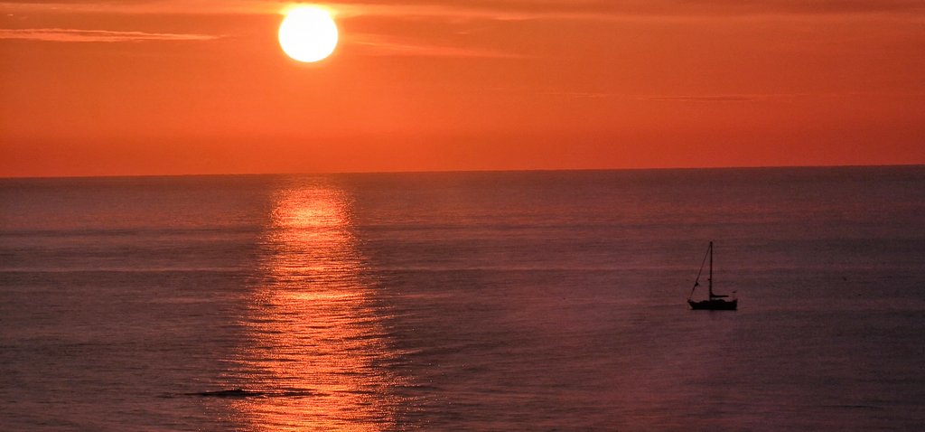 Walk With Me tweet media