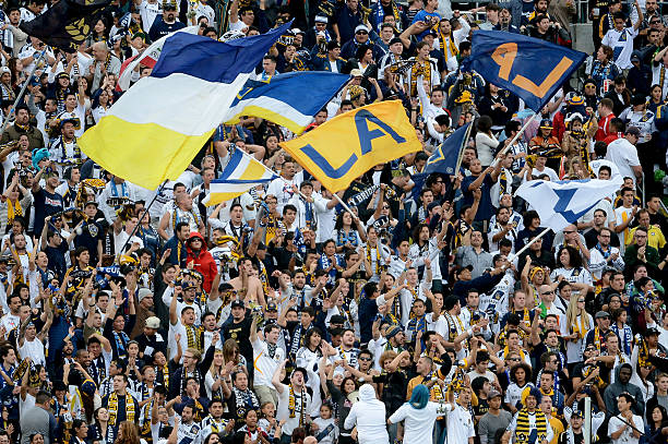 ✧ 🇮🇨 ✧ tweet media