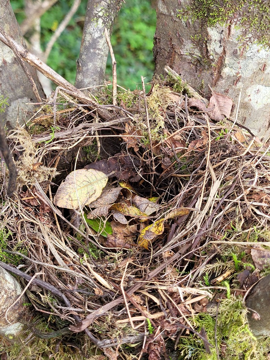 Eoghan Daltun 🌍 tweet media