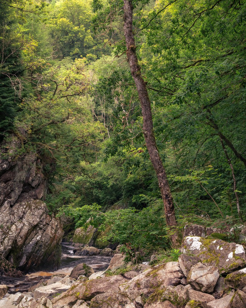 Daron linney tweet media