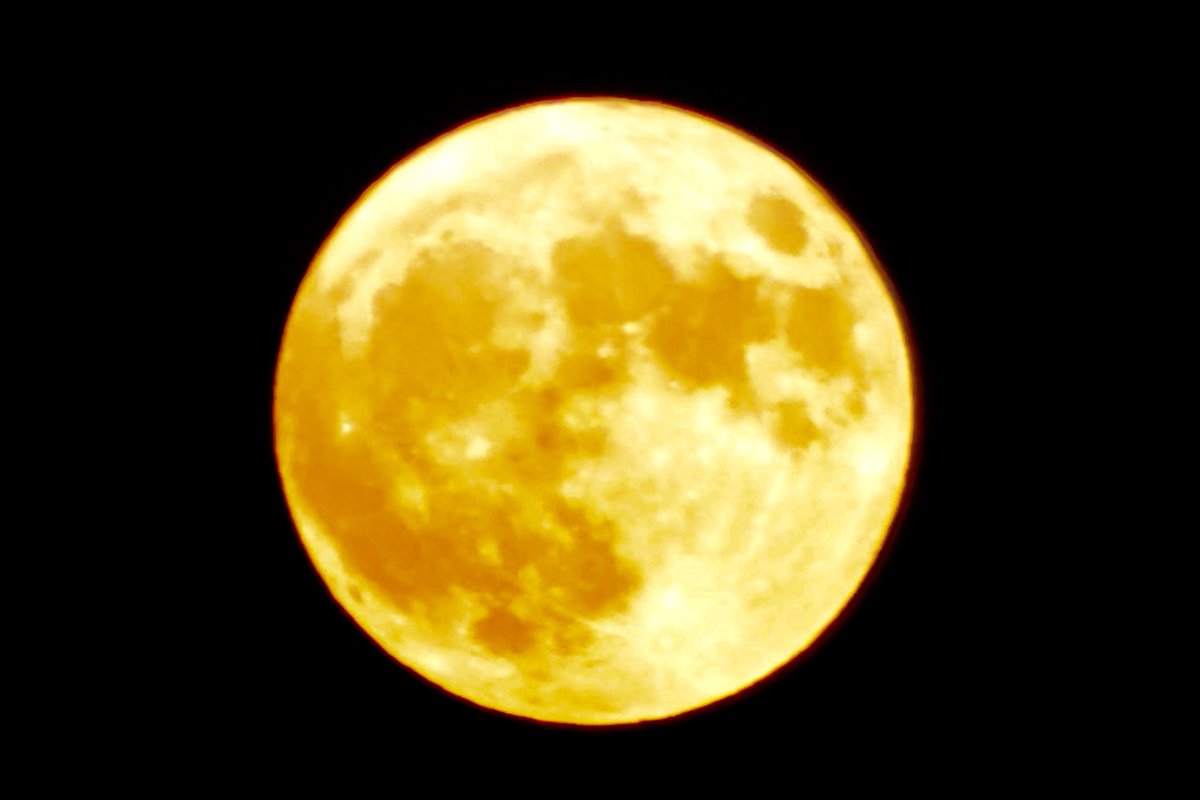 ctaMike's tweet photo. Our rare full “blue supermoon” this Wednesday night, in front of my San Jose house. The next one just like this won’t be until 2037. Here’s some background: https://t.co/9tNE1sCmUI @NativeSantaCruz @LyanneMelendez @karlmondon @RobMayeda @PaulKPIX @TunedToTheresa @NWSBayArea https://t.co/leaF8IsL84