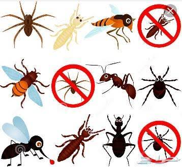 شركة تنظيف بالرياض غسيل كنب موكيت مجالس سجاد ستائر خزانات المياه مكيفات سبليت شباك تعقيم المنازل عزل اسطح وخزانات مكافحه حشرات رش مبيدات بالرياض بالخرج