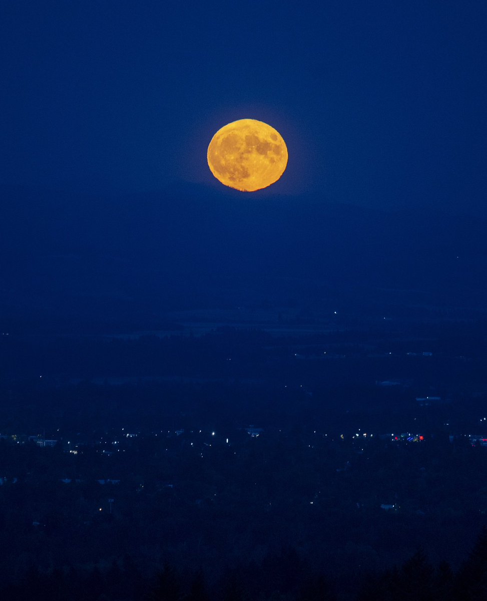 abigaildollins's tweet photo. A rare super blue moon rises on Wednesday, Aug. 30 in Salem, Ore. https://t.co/vGeE42YOeC