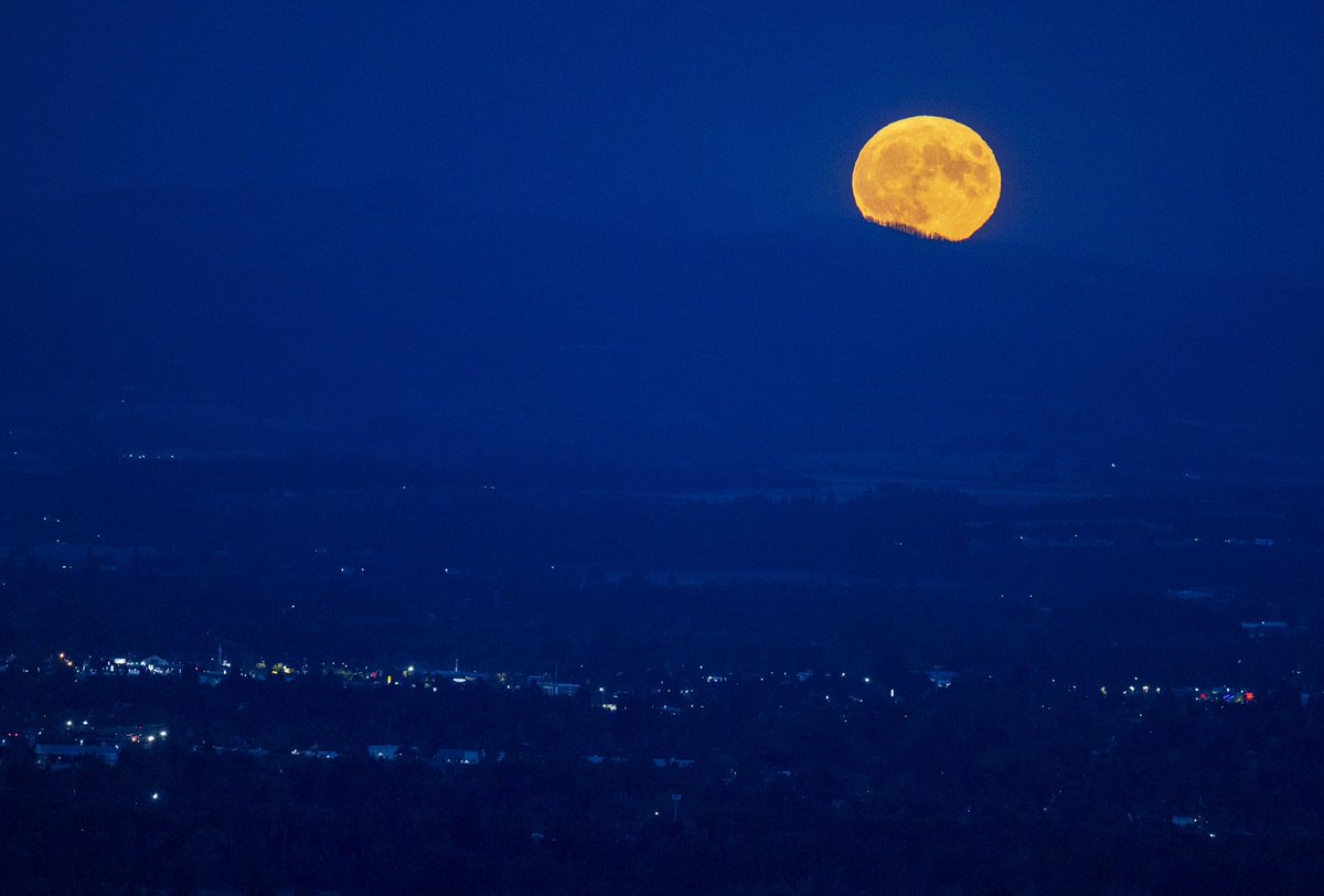 abigaildollins's tweet photo. A rare super blue moon rises on Wednesday, Aug. 30 in Salem, Ore. https://t.co/vGeE42YOeC