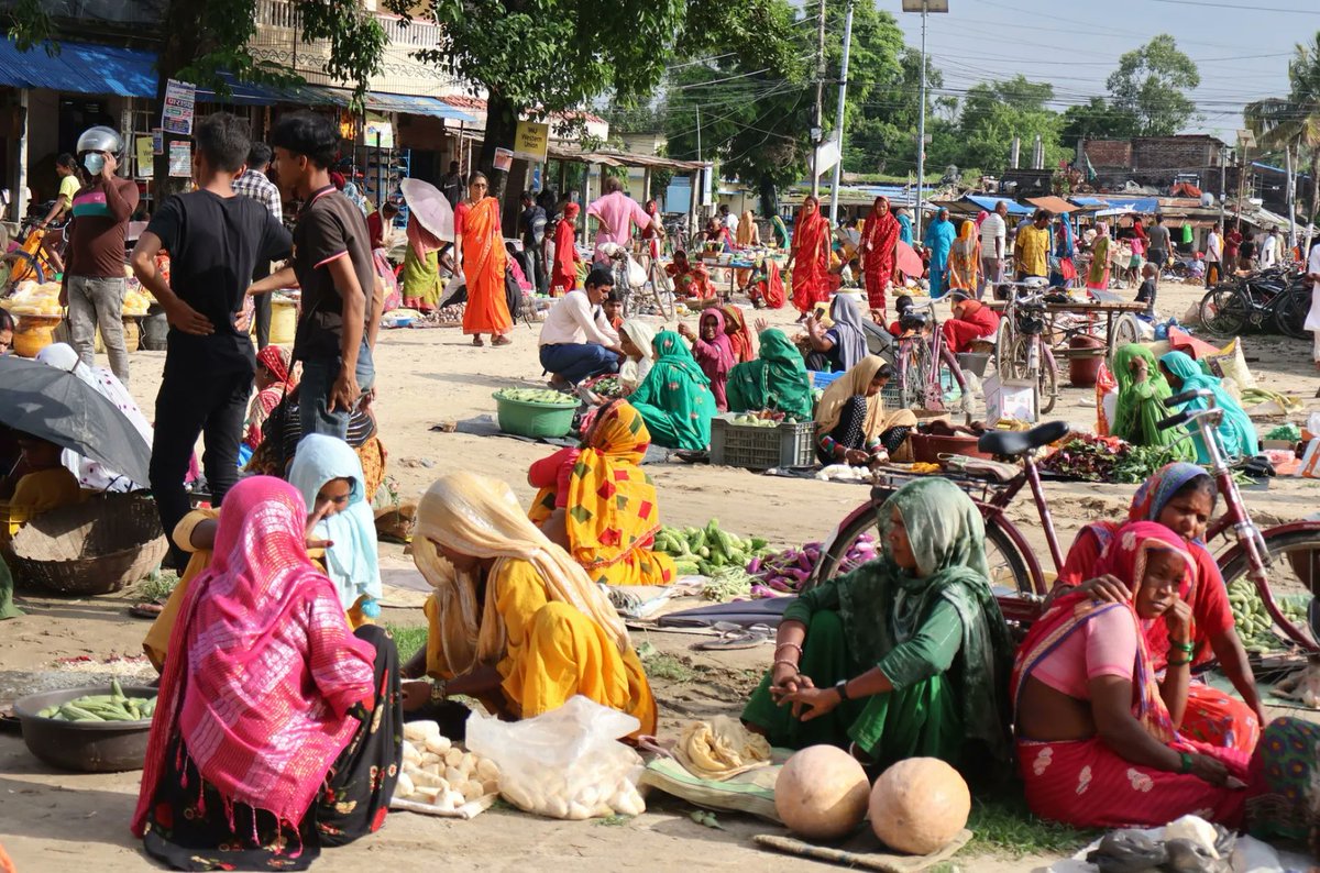 🌼 Manita Raut is committed to gender equality and inclusive water governance. Her Student Award project is designed to uplift marginalized farming communities’ livelihoods, showcasing her belief in research’s transformative potential.

👉 bit.ly/3YVhWiz

#NextGenAg4D