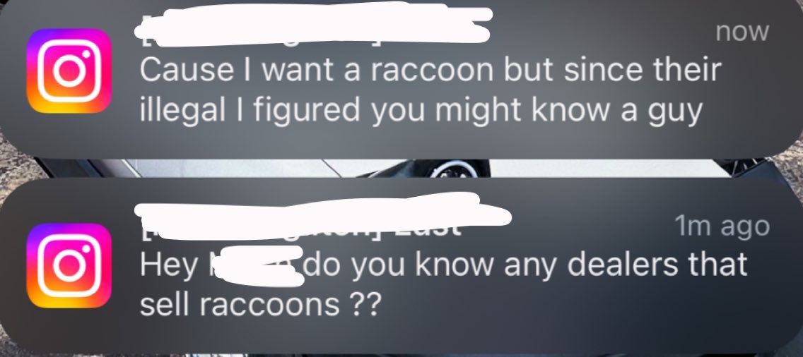 added to the list of silliest DMs I’ve received