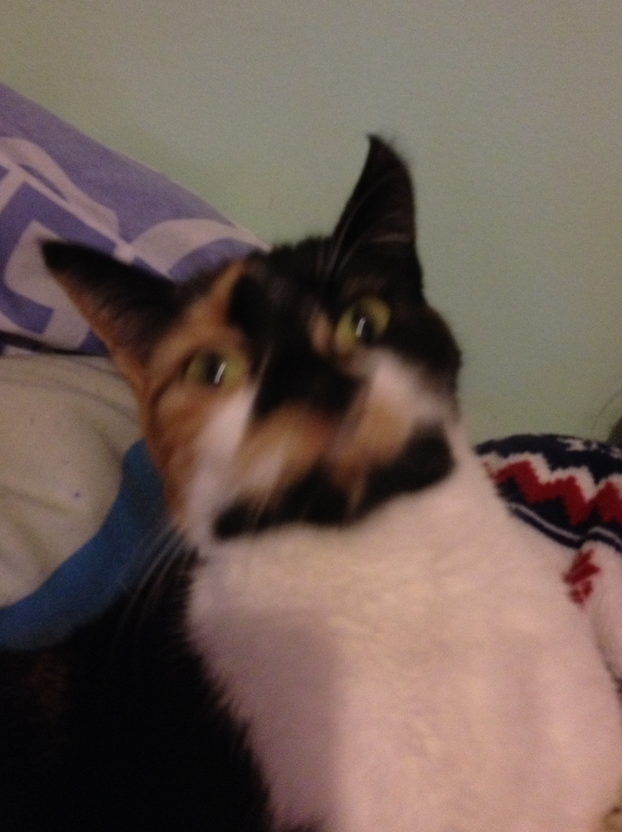 River 🏳️‍⚧️ tweet media