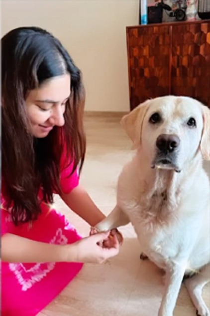 TheViditsharma's tweet photo. On this auspicious Raksha Bandhan day, lets pledge to stand as a protector for these voiceless souls, our beloved animals. Just as a sibling bond is sacred, so is our duty to ensure their safety and well-being. Let's tie a knot of love and compassion that lasts forever.  #RakshaForPaws #AnimalProtection #BondOfLove 

Thank you Disha Parmar and Shriya @ShriyaP @disha11parmar 

#Dogs
#RakshaBandhan