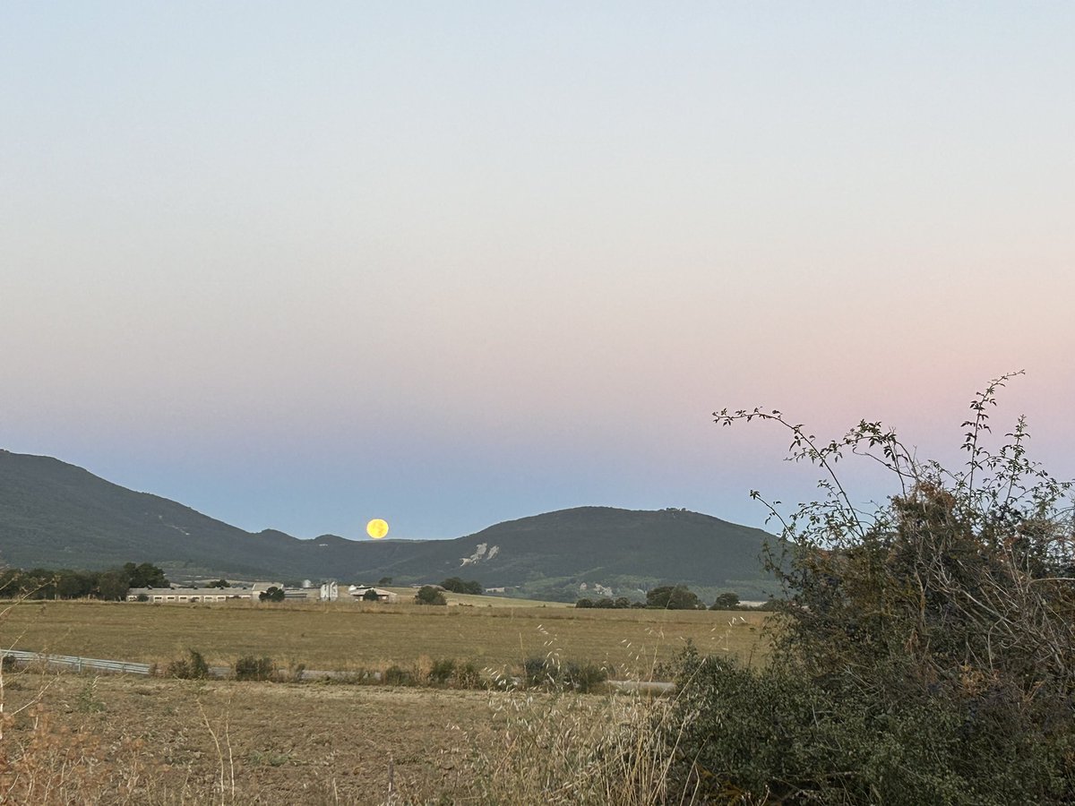 cualquecosa's tweet photo. me'n voi a nonon con ixa foto que plega a o whatsapp amiguista
y me'n voi a treballar con a luna d'agosto amagandose 

🌝♥️ https://t.co/3rye8M36bt