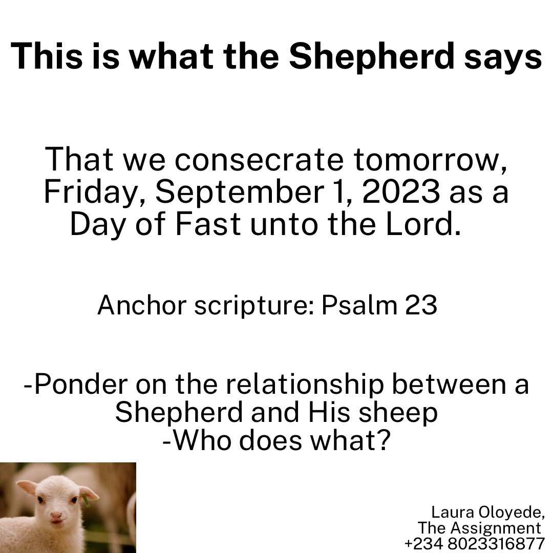 Theassignment50's tweet image. 