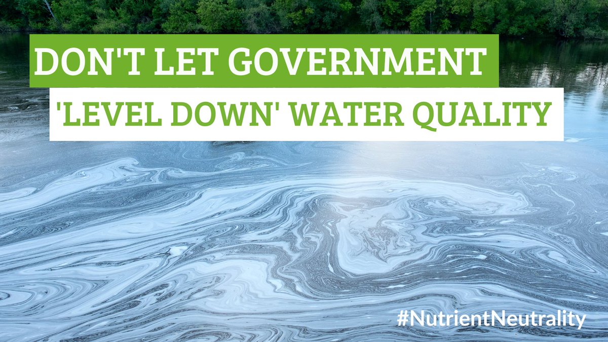 PTES's tweet photo. If the government is serious about cleaning up England’s rivers it can’t afford to sink #NutrientNeutrality.

Prime Minister, don’t break your promise - communities and wildlife around the country need #cleanwater. https://t.co/3Tv3r62wTA