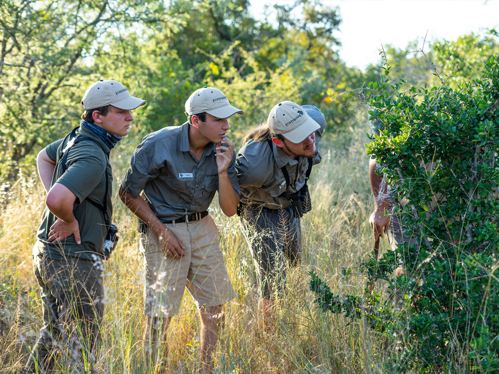 EcoTraining's tweet image. EcoTraining's NEW On-Demand Field Guide Course allows you to learn at your own pace and convenience towards a career in guiding.

Read all about it in today's blog, 'EcoTraining's NEW On-Demand Field Guide Course' HERE: 
👉ow.ly/Vpmp50PFPSy👈

#fgasa