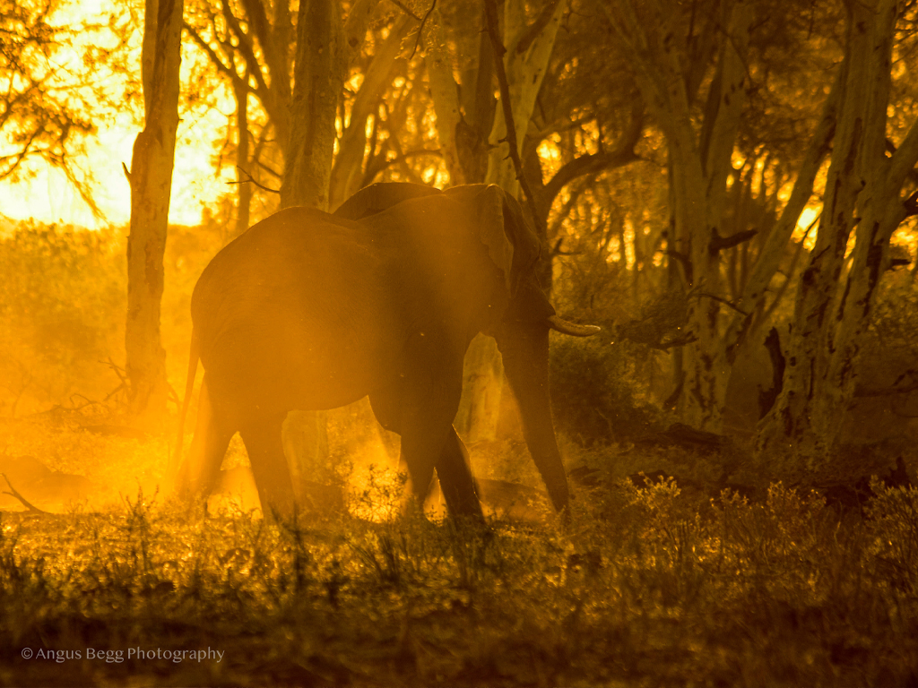 EcoTraining's tweet image. EcoTraining's NEW On-Demand Field Guide Course allows you to learn at your own pace and convenience towards a career in guiding.

Read all about it in today's blog, 'EcoTraining's NEW On-Demand Field Guide Course' HERE: 
👉ow.ly/Vpmp50PFPSy👈

#fgasa